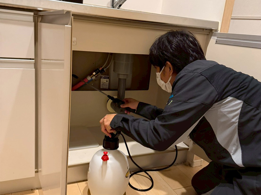ゴキブリ駆除の様子