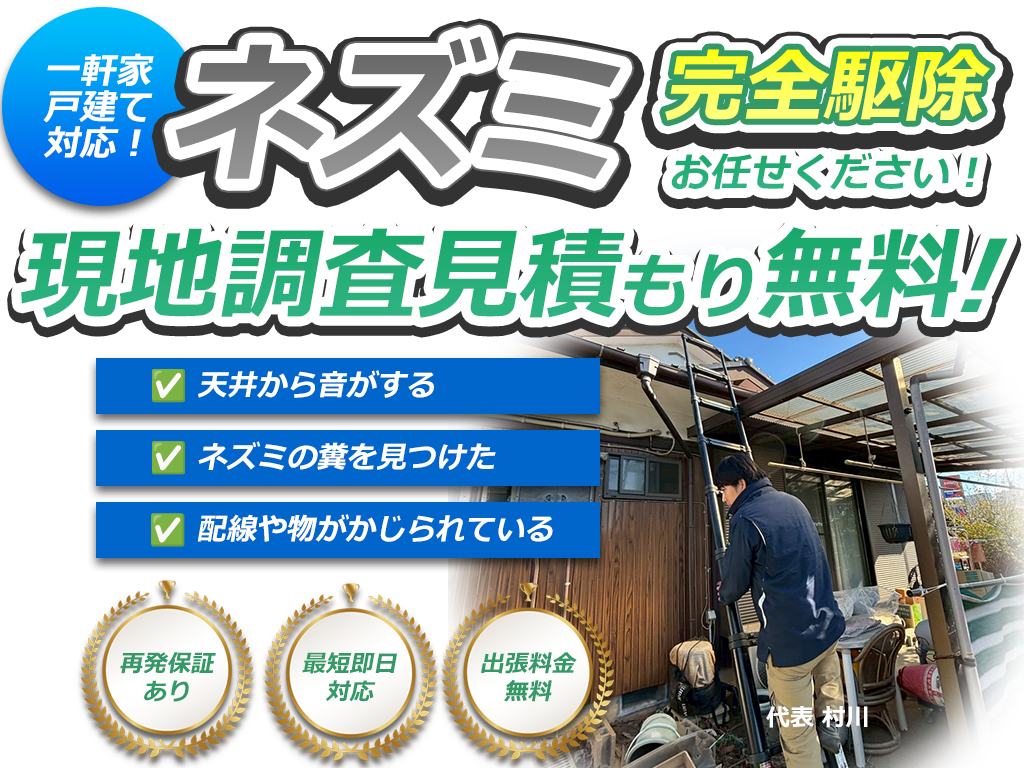 ねずみ駆除