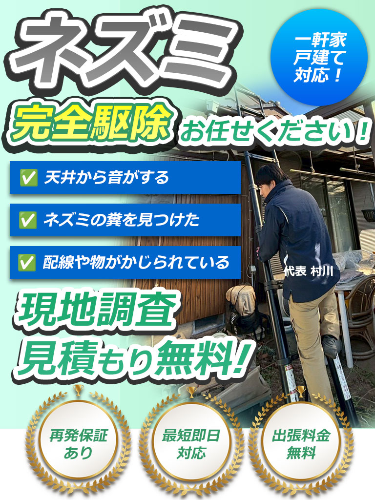 ねずみ駆除