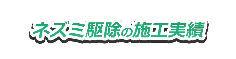 ねずみ駆除の施工実績