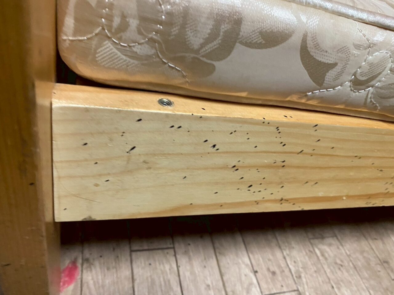 発生状況の確認